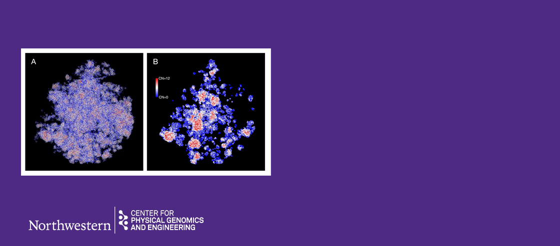 Local volume concentration, packing domains, and scaling properties of chromatin