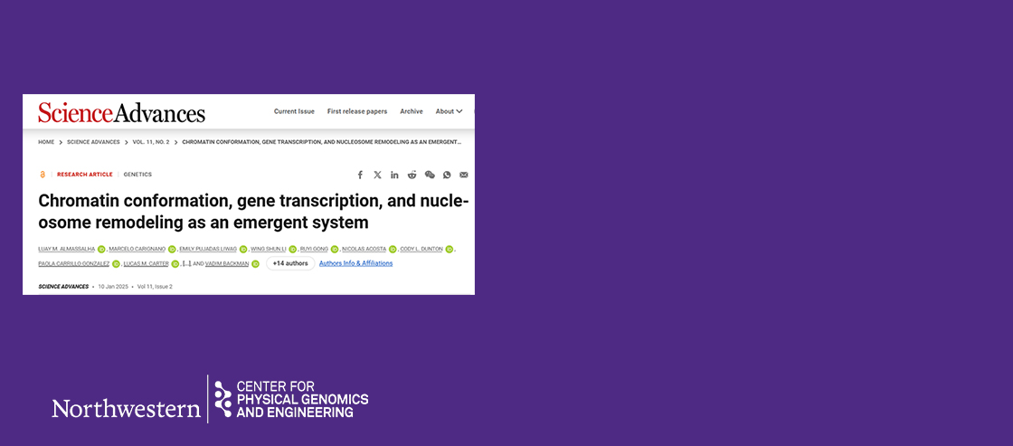 Local volume concentration, packing domains, and scaling properties of chromatin