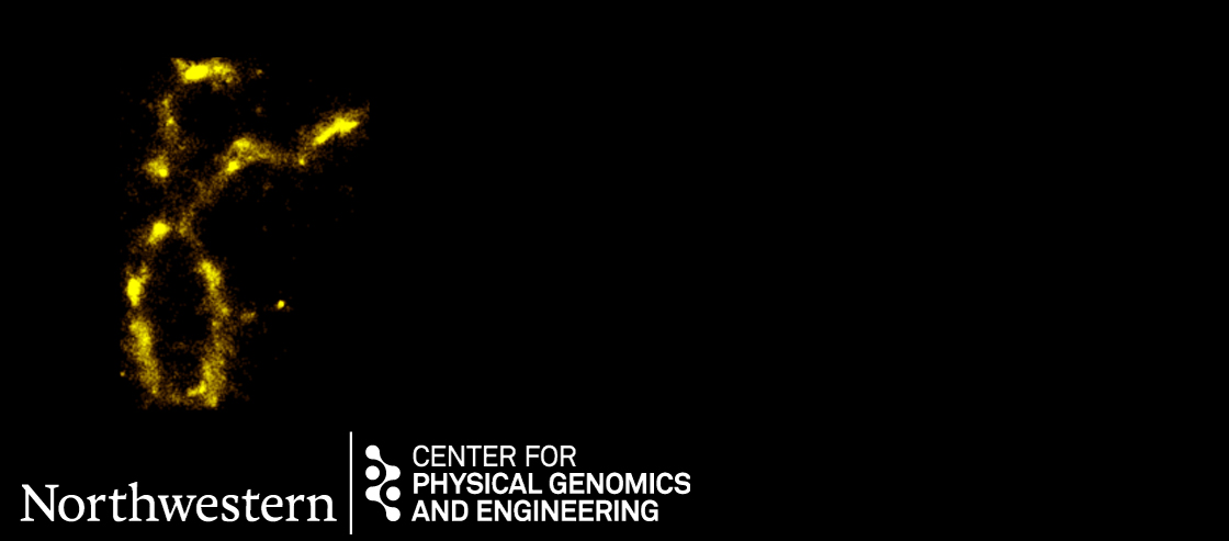 Monthly Seminar on Physical Genomics